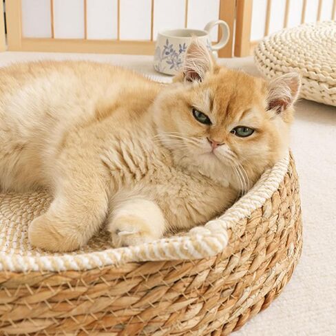 Summer Round Shaped Breathable Cool Rattan Pet Bed | 13.78 Inch Handmade Woven Durable Dog Bed Cat Beds for Indoor Cats Pets Supplies Small Midium Pet Use All Season Universal in Kuwait