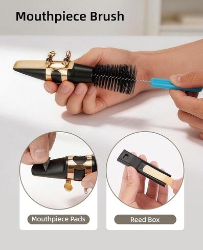 POGOLAB Alto Saxophone Cleaning Kit, 10-in-1 Instrument Care Set with Sax Swab, Microfiber Cloth, Brush, Mouthpiece Pad, Screwdriver, Thumb Rest & Reed Box, Daily Maintenance for Alto Sax/Clarinet in Saudi Arabia