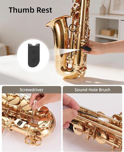 POGOLAB Alto Saxophone Cleaning Kit, 10-in-1 Instrument Care Set with Sax Swab, Microfiber Cloth, Brush, Mouthpiece Pad, Screwdriver, Thumb Rest & Reed Box, Daily Maintenance for Alto Sax/Clarinet in Saudi Arabia