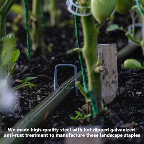 200Pcs Garden Landscape Staples and Fixing Gasket with 1pc Pick Hook, Heavy Duty 11 Gauge U Shaped 3mm Lawn Staples for Irrigation Hoses, Yard Weed Barrier, Fences and Tents, Decorations Fixed in Kuwait