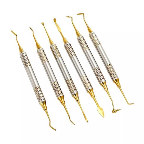 6pcs/Set Dental Composite Resin Filling Spatula Tools Gold Coated Instruments in Kuwait