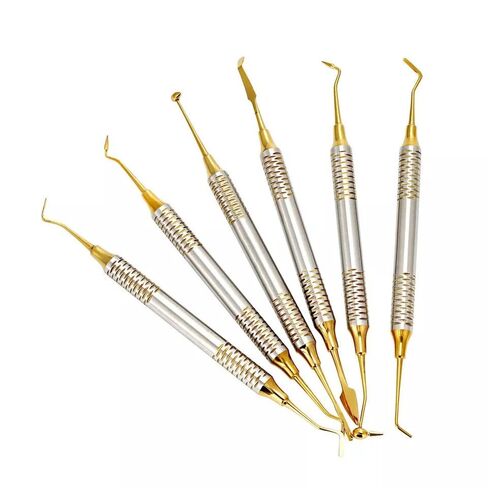 6pcs/Set Dental Composite Resin Filling Spatula Tools Gold Coated Instruments in Kuwait