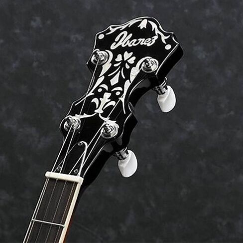 Ibanez B300 5-str Reso Banjo in Kuwait