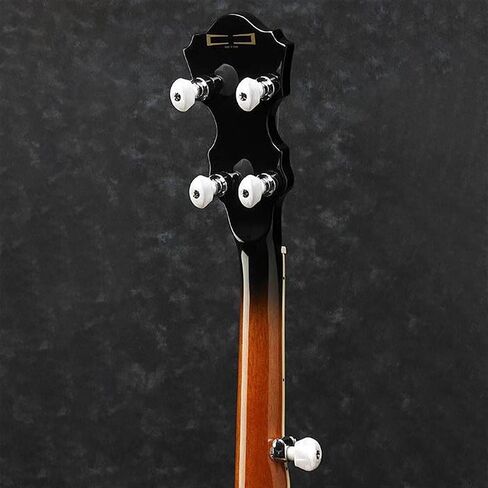 Ibanez B300 5-str Reso Banjo in Kuwait