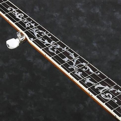 Ibanez B300 5-str Reso Banjo in Kuwait