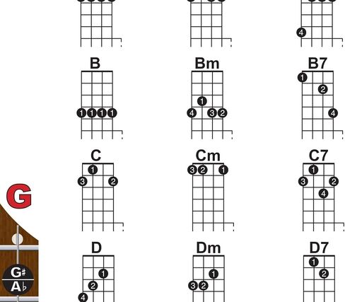 Left Handed Banjo Chart - Rolls, Chords and Fretboard Notes Poster - Open G Tuning 11x17 | A New Song Music in Kuwait