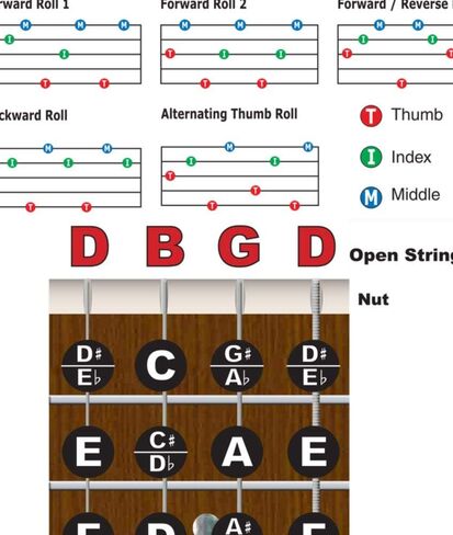 Left Handed Banjo Chart - Rolls, Chords and Fretboard Notes Poster - Open G Tuning 11x17 | A New Song Music in Kuwait