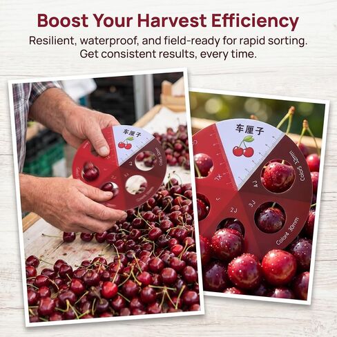 Operitacx 4pcs Cherry Diameter Measure Tool - Berry Size Grading Checker - Manual Sorting Dimension Gauge for Cherry Blueberry Fresh Produce Professional Farmers Market 0.94-1.25 Inch in Kuwait