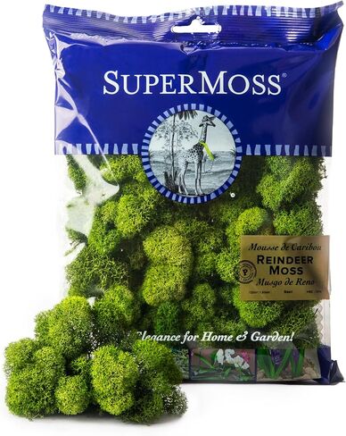 SuperMoss (23080) طحالب الرنة المحفوظة، الريحان، 2 أونصة in Kuwait