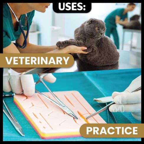 Oasis Vet Chromic Gut Surgical Suture, 3-0, (FS-2) 3/8 19/20mm Reverse Cutting Needle, 75cm, 12/Box, Veterinary Use in Kuwait
