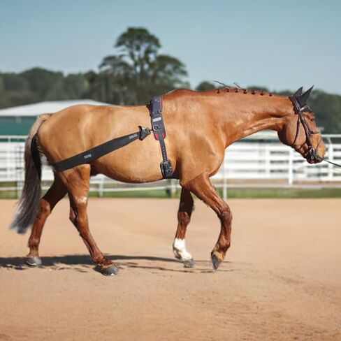Premium Lunging Band for Horse - Equine Hind Quarter Lunging Strap in Kuwait
