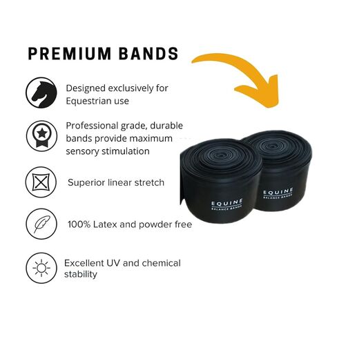 Premium Lunging Band for Horse - Equine Hind Quarter Lunging Strap in Kuwait
