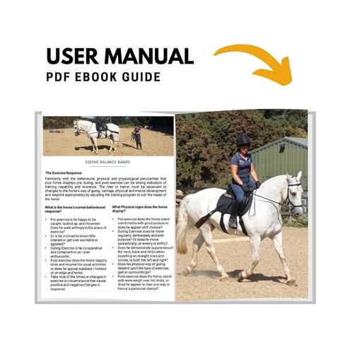 Premium Lunging Band for Horse - Equine Hind Quarter Lunging Strap in Kuwait
