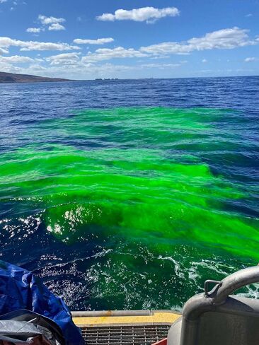New Resources Group Water Leak Tracing Tablets Neon Bright Green Dyes Detect Illegal Discharge Boats, EPA Standard Sewer and Drain Commercial in Kuwait