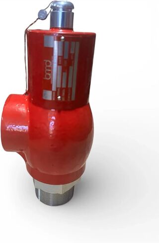 RV10 Relief Valve - 1" MNPT x FNPT Pressure Relief Valve for Oil & Gas - High Pressure - Made in the USA - Carbon Steel & Ductile Iron (250, Pound per Square Inch) in Kuwait