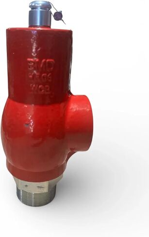 RV10 Relief Valve - 1" MNPT x FNPT Pressure Relief Valve for Oil & Gas - High Pressure - Made in the USA - Carbon Steel & Ductile Iron (250, Pound per Square Inch) in Kuwait