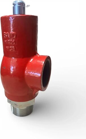 RV10 Relief Valve - 1" MNPT x FNPT Pressure Relief Valve for Oil & Gas - High Pressure - Made in the USA - Carbon Steel & Ductile Iron (250, Pound per Square Inch) in Kuwait