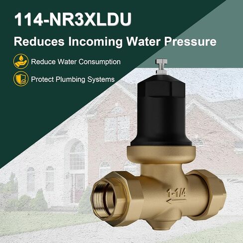114-NR3XLDU NR3XLDULU 1-1/4 بوصة NR3XL صمام تخفيض الضغط مع اتصال FNPT مزدوج الاتحاد in Kuwait