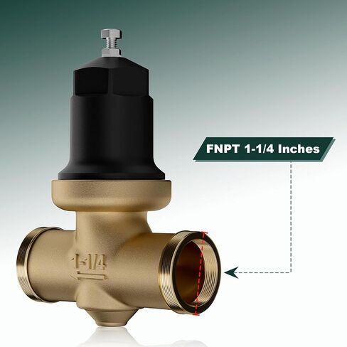 114-NR3XLDU NR3XLDULU 1-1/4 بوصة NR3XL صمام تخفيض الضغط مع اتصال FNPT مزدوج الاتحاد in Kuwait