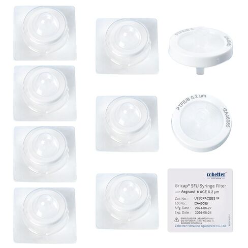 Pack of 10 Hydrophobic PTFE Syringe Filters 0.2μm 25mm for Air Venting, Sterile Individually Packaged in Saudi Arabia