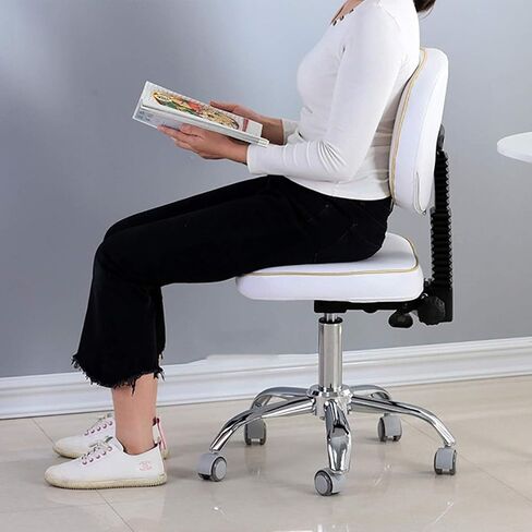 Dental Assistant Chairs, Ergonomic Rolling Stool 360°Rotating Bar Chair Hydraulic Gas Lift Swivel Stool,Multi-Purpose Office Desk Chair, for Barber Shop, Nail Salon,Labs in Kuwait
