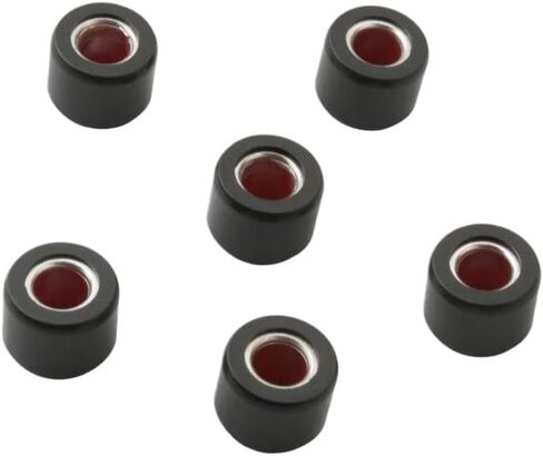 أوزان الأسطوانة المتغيرة 18 جم 20 × 15 مم متوافقة مع 6 قطع Dylan125 Dylan150 Lead 125 SH125 PCX125 Dylan Pantheon NES 125cc 150cc 4T in Kuwait