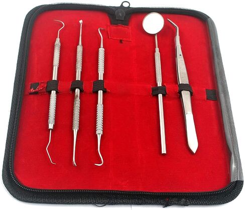 Dentist Tools KIT BY AA PRO – Set of Dental Tools– Included Anti Fog Mirror, Tartar Scraper, Dental Pick, Dental Scaler, Dental Forceps and Carrying Pouch - for Both Personal and PET USE in Kuwait