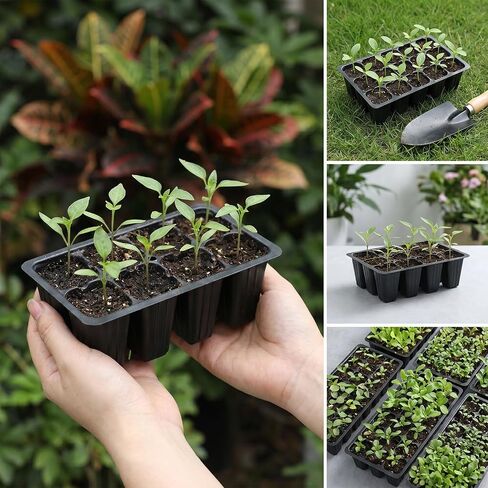 YUXIANLB 4pcs Garden Tweezers Set, 6.3" Stainless Steel Seedling Transplant Tongs Long Thin Seed Starters with Curved Transplanting Bonsai Cactus Gardening Stuffer Planting Plier Multipurpose Tool in Kuwait