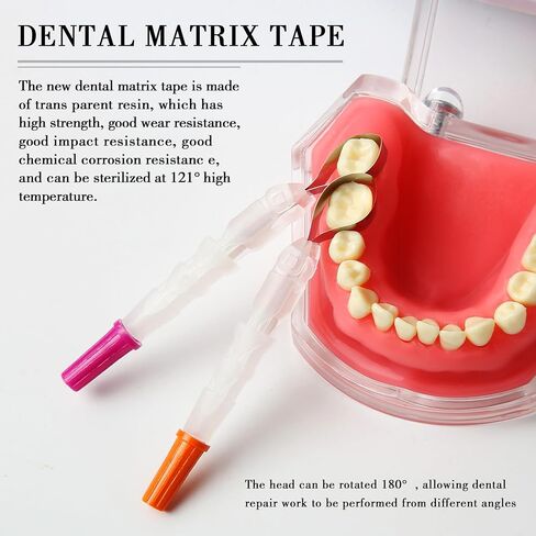 Dental Matrix Bands 180°Adjustable Retainer Metal Restoration Matrix-Profecto Sectional Matrix for Dental Restorations(4 Size 4 Colors) in Kuwait