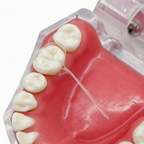 10 pcs/Pack Dental Self-Adhesive Transparent Sectional Contoured Matrices for Premolar and Molars Dental Polyester Matrices (1 Pack for Molar) in Kuwait