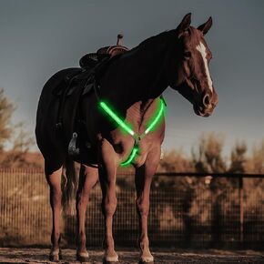LED Horse Breastplate Collar, USB Rechargeable Chest Strap, Reflective Breastplate Harness with 3 Lighting Modes, Adjustable Equestrian Gear Visible and Safe for Night Horse Riding, Blue in Saudi Arabia