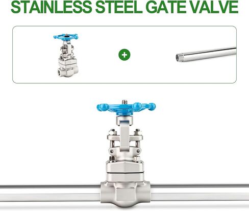 TAISHER 1PCS Forging of 304 Stainless Steel Gate Valve, 1" NPT Female Rotary Sluice Valve With Wheel Handle, For Water, Oil, Gas in Kuwait
