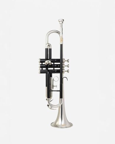 Bb Trumpet for Students & Adults – Silver & Black Lacquer Finish | Brass Wind Instrument with Mouthpiece & Hard Case for Learning & Band Practice in Kuwait