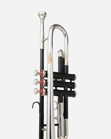 Bb Trumpet for Students & Adults – Silver & Black Lacquer Finish | Brass Wind Instrument with Mouthpiece & Hard Case for Learning & Band Practice in Kuwait