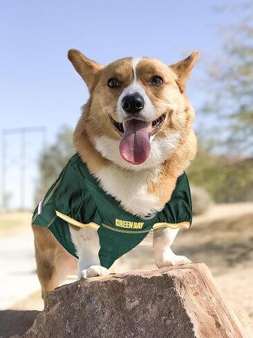 Pets First Green Bay Packers Dog Jersey, Size: Large, NFL Licensed in Kuwait