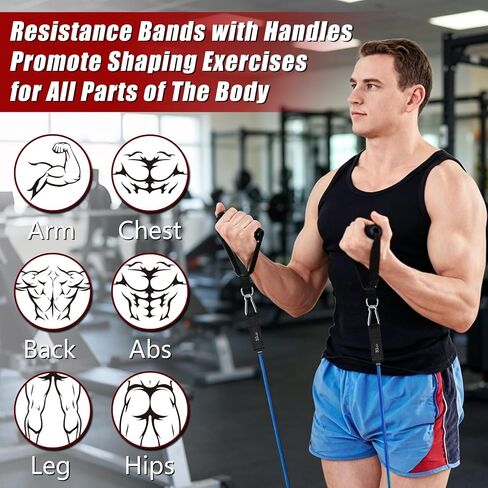 Resistance Bands with Handles, 5-Level Exercise Bands with Handles, Resistance Bands for Men and Women, Exercise Bands for Full-Body Training, Fitness, Physical Therapy, Workout Bands at Home, Gym in Kuwait