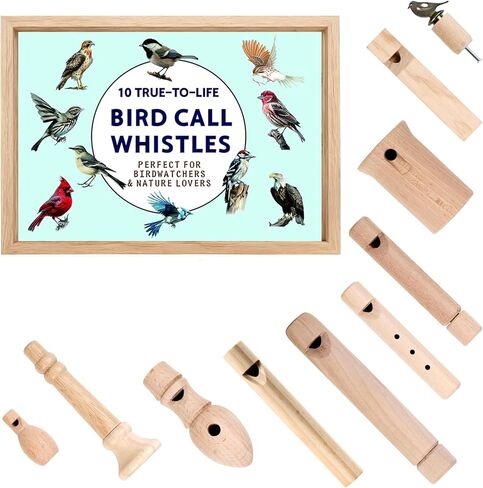 10-Piece Handcrafted Wooden Bird Call Set, Bird Call Whistle Encased in Acrylic Wooden Box, Bird Whistle for Bird Watching Gifts, Bird Call Games, Bird Lover Gifts, Unique Gifts for Bird Lovers in Kuwait