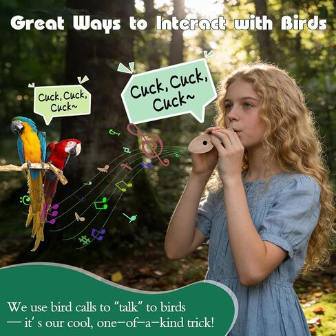 10-Piece Handcrafted Wooden Bird Call Set, Bird Call Whistle Encased in Acrylic Wooden Box, Bird Whistle for Bird Watching Gifts, Bird Call Games, Bird Lover Gifts, Unique Gifts for Bird Lovers in Kuwait