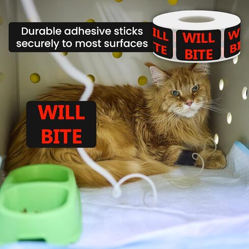 ملصقات Will BITE البيطرية - ملصقات تعليمات العناية بالحيوانات الأليفة لعيادات الحيوانات والملاجئ ومتاجر الحيوانات الأليفة، 500 قطعة/لفة (Will BITE، 1.5 بوصة طول × 1 بوصة عرض) in Kuwait