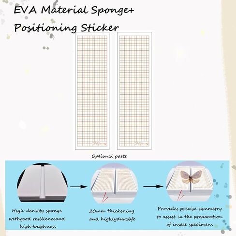 مجموعة صنع عينات الفراشة، وأدوات صنع عينات الفراشة وصندوق العرض، ولوحة دبابيس EVA، ودبوس الحشرات، ومشروع العلوم المدرسية وتعليم الطبيعة in Kuwait