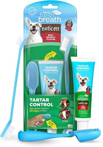 Tropiclean الطازج الطازج مجموعة العناية بالفم - فرشاة أسنان إصبع الخشور الناعمة - مجموعة أسنان الكلب - طقم فرشاة ثنائية اللحم البقري معجون أسنان الكلب in Kuwait