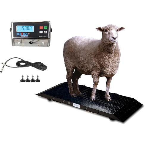 SellEton SL-920-2K Portable Livestock Scale, 2000 lb x 0.5 lb, 50" x 20" Heavy Duty Animal Floor Scale with Ramps, Wheels & LCD Indicator for Cattle, Dogs, Sheep, Goats, Shipping and Veterinary Use in Kuwait