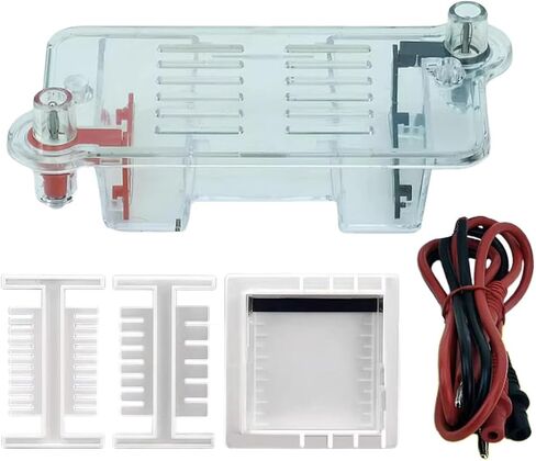 Electrophoresis Apparatus Tank Teaching Equipment,Biology Experimental Equipment Learning for High School in Saudi Arabia