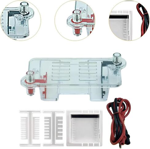Electrophoresis Apparatus Tank Teaching Equipment,Biology Experimental Equipment Learning for High School in Saudi Arabia