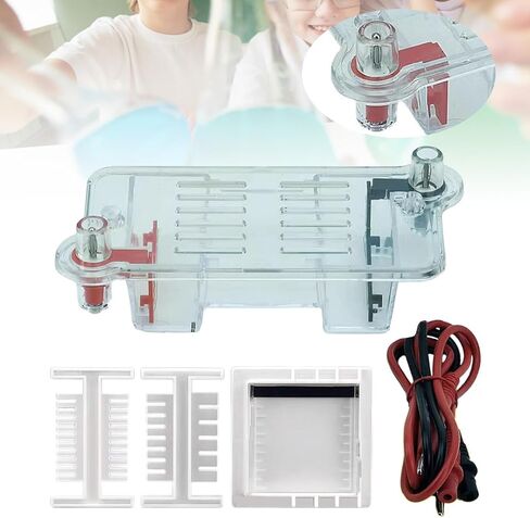 Electrophoresis Apparatus Tank Teaching Equipment,Biology Experimental Equipment Learning for High School in Saudi Arabia