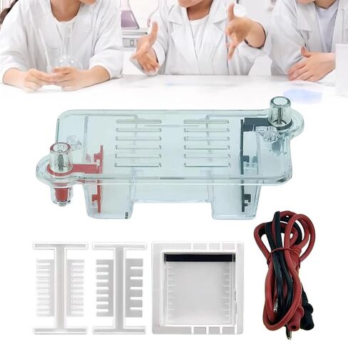 Electrophoresis Apparatus Tank Teaching Equipment,Biology Experimental Equipment Learning for High School in Saudi Arabia