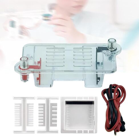 Electrophoresis Apparatus Tank Teaching Equipment,Biology Experimental Equipment Learning for High School in Saudi Arabia