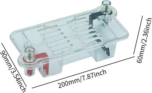 Electrophoresis Apparatus Tank Teaching Equipment,Biology Experimental Equipment Learning for High School in Saudi Arabia