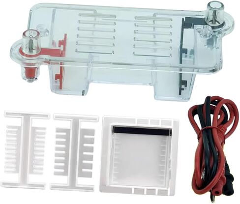 Electrophoresis Apparatus Tank Teaching Equipment,Biology Experimental Equipment Learning for High School in Saudi Arabia