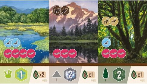 ألعاب AEG & Flatout | Cascadia: Rolling Hills Roll & Write Puzzly Dice Game | استكشاف Pacific Northwest ، بناء النظم الإيكولوجية | تتراوح أعمارهم بين 10+ | 1-4 لاعبين in Kuwait